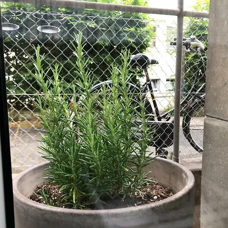 Apartment Ferienzimmer Tübingen