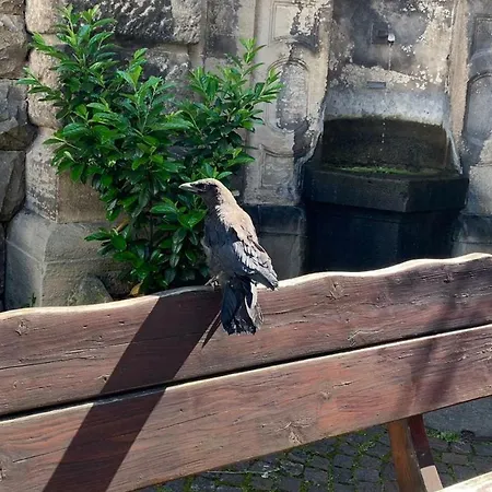 Ferienzimmer Apartment